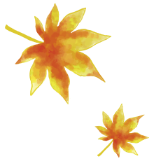 decorative image