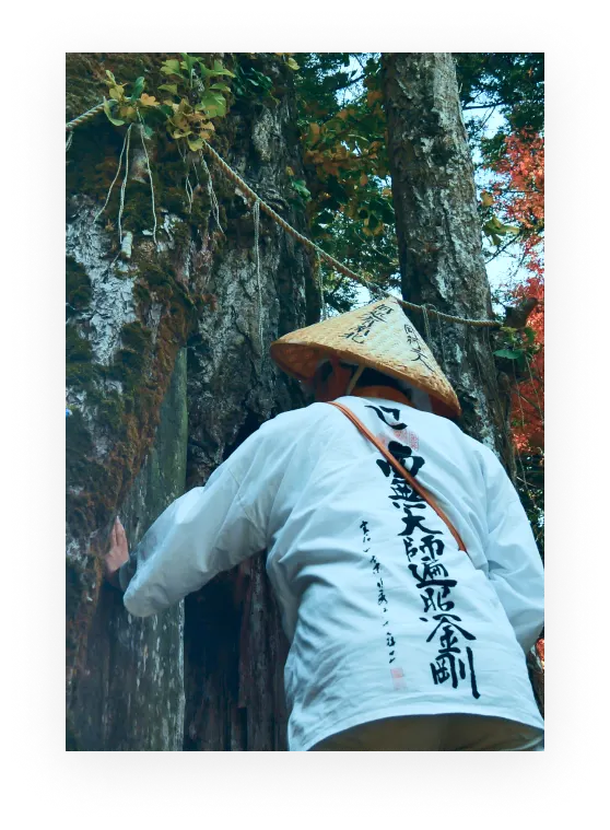 A person in a white coat touching a tree